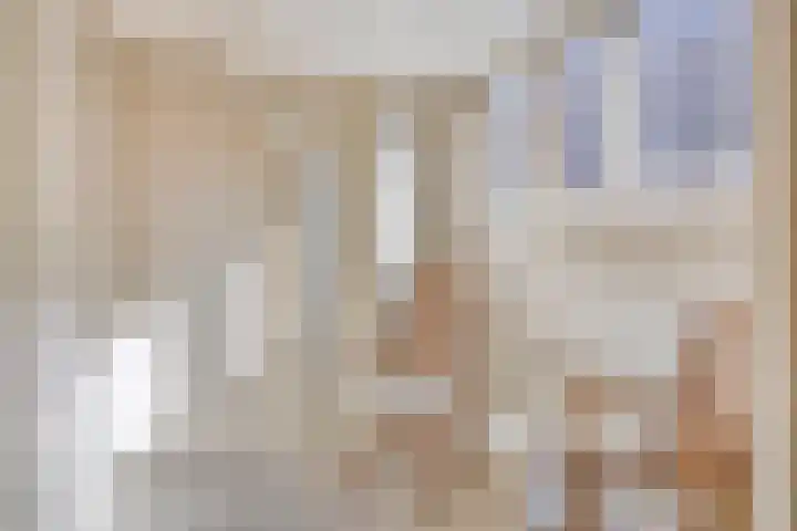 Vijfhuizenweg 4 Etten-Leur thumbnail 21