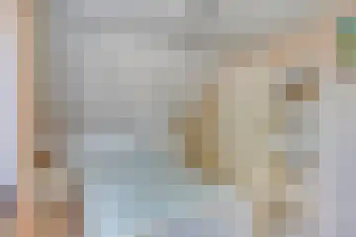 Vijfhuizenweg 4 Etten-Leur thumbnail 23