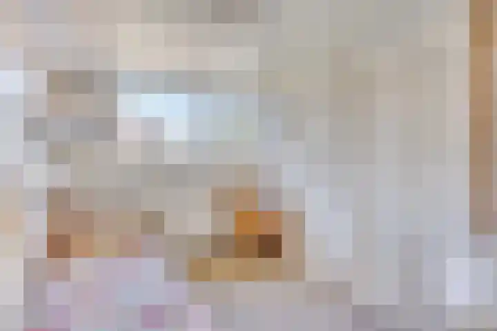 Vijfhuizenweg 4 Etten-Leur thumbnail 24