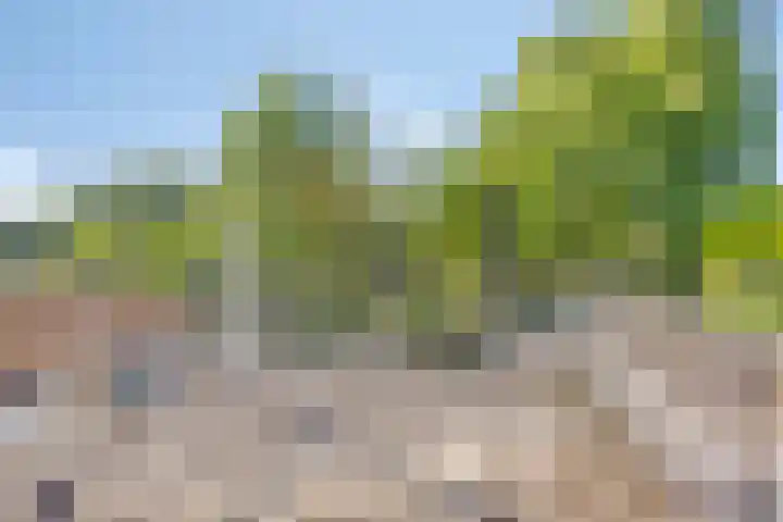 Vijfhuizenweg 4 Etten-Leur thumbnail 28