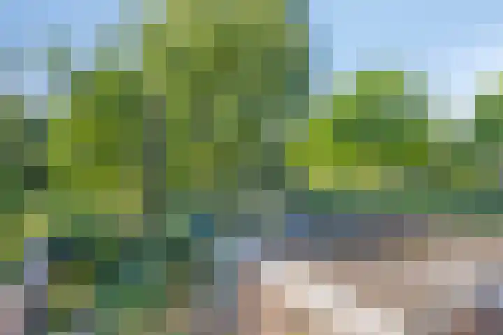 Vijfhuizenweg 4 Etten-Leur thumbnail 29