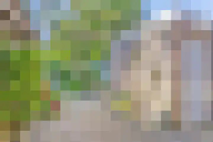 Vijfhuizenweg 4 Etten-Leur thumbnail 30