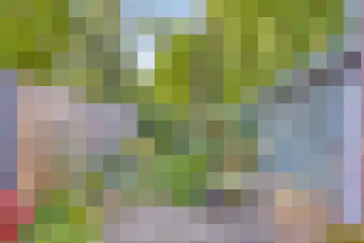 Vijfhuizenweg 4 Etten-Leur thumbnail 32