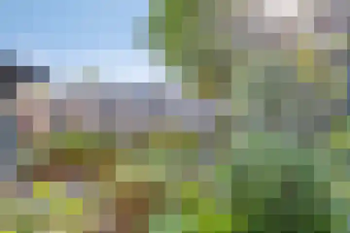Vijfhuizenweg 4 Etten-Leur thumbnail 33