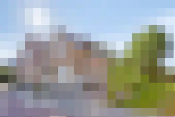 Vijfhuizenweg 4 Etten-Leur thumbnail 38