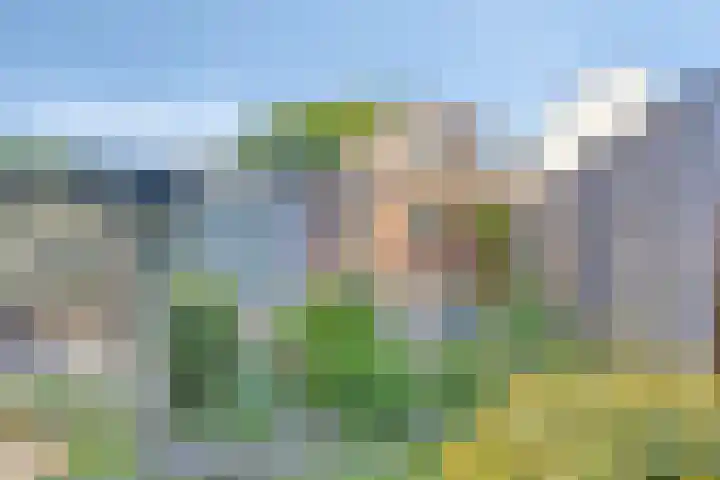 Vijfhuizenweg 4 Etten-Leur thumbnail 4