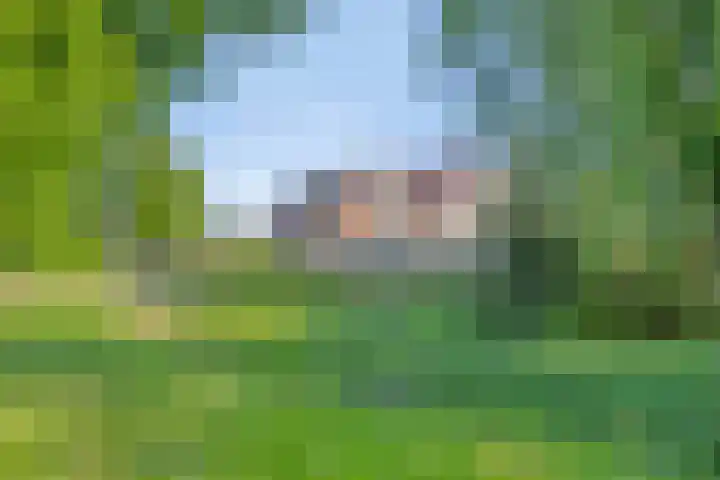 Vijfhuizenweg 4 Etten-Leur thumbnail 41