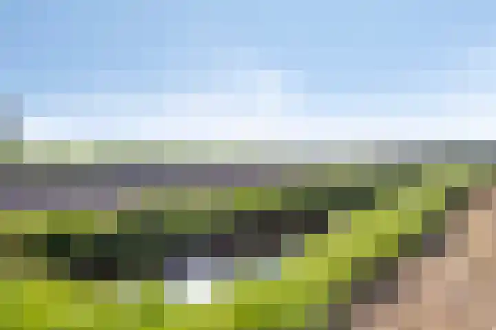Vijfhuizenweg 4 Etten-Leur thumbnail 42