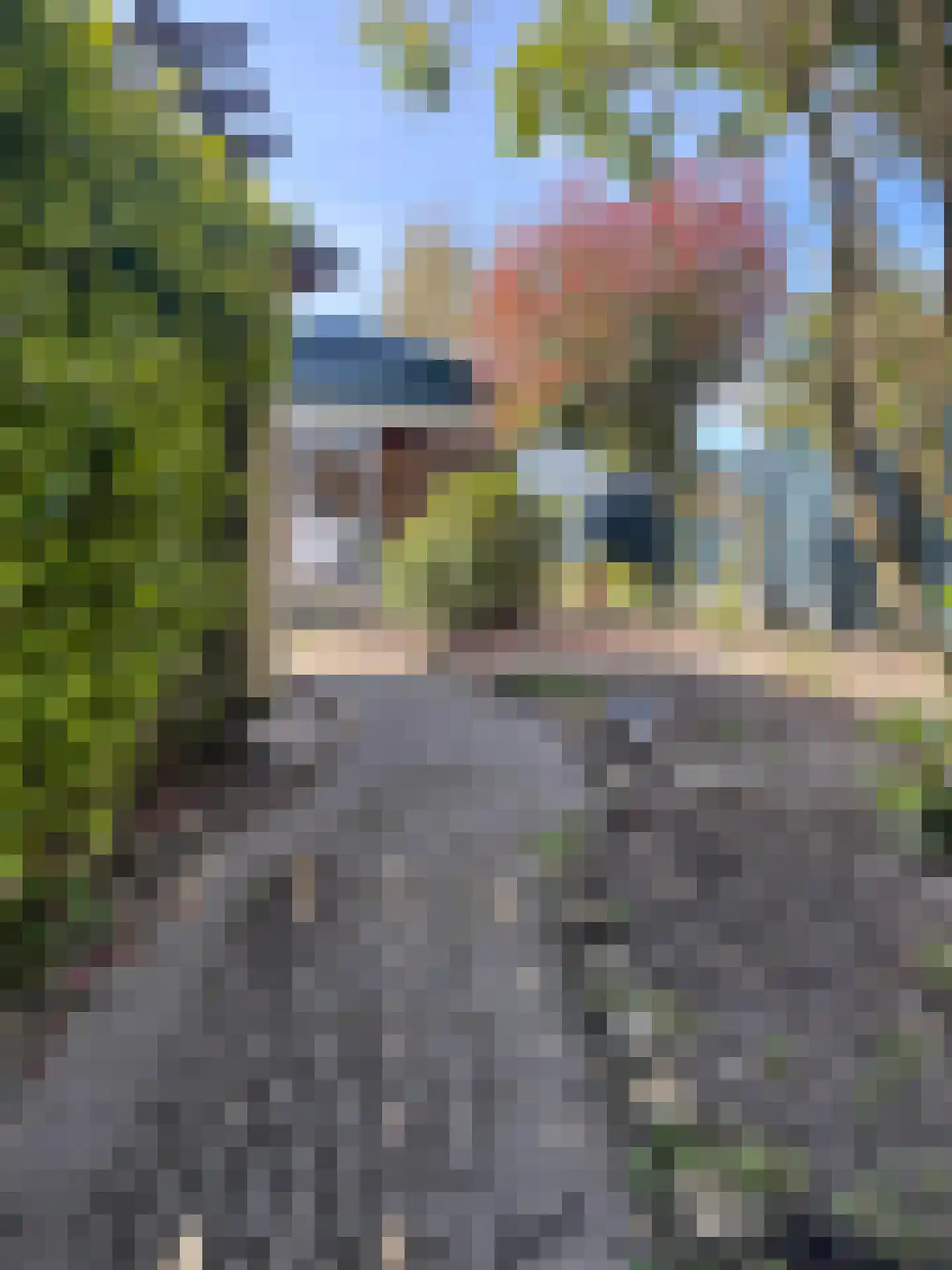 Vijfhuizerdijk 112 Vijfhuizen thumbnail 19