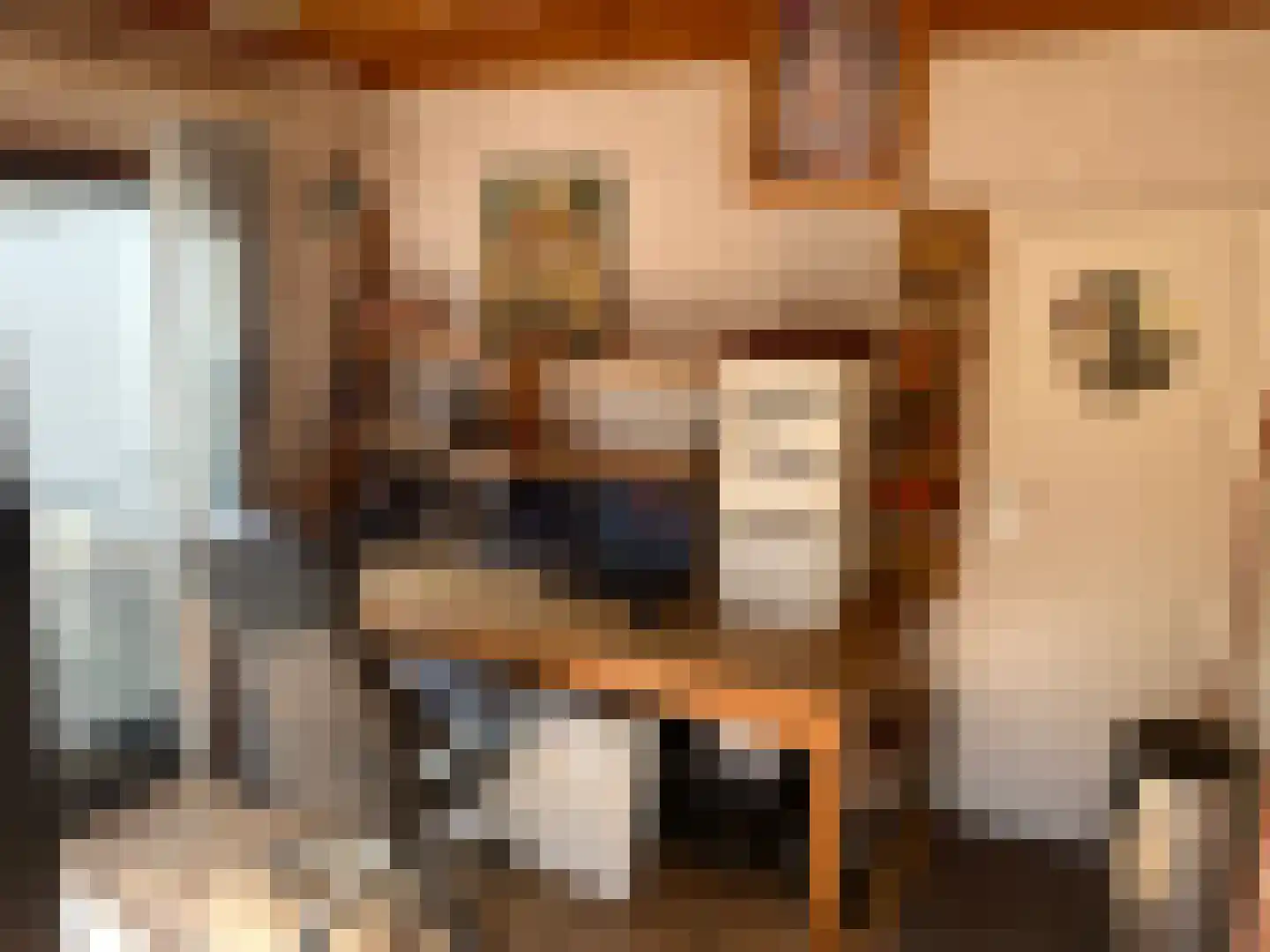 Vijfhuizerdijk 112 Vijfhuizen thumbnail 8