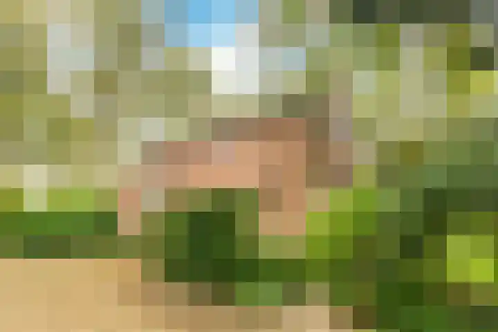 Vijfhuizerdijk 206 Vijfhuizen thumbnail 10