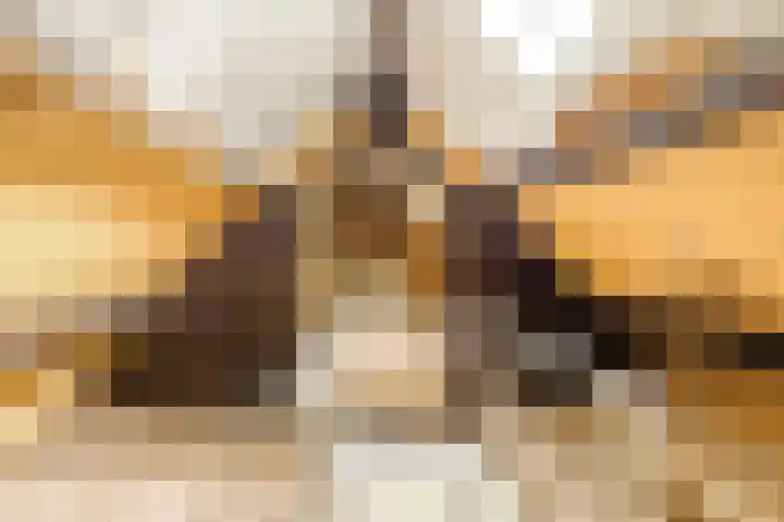 Vijfhuizerdijk 206 Vijfhuizen thumbnail 35