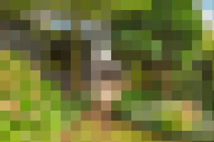 Vijfhuizerdijk 206 Vijfhuizen thumbnail 43