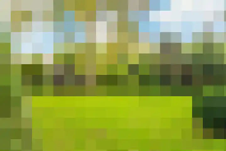 Vijfhuizerdijk 206 Vijfhuizen thumbnail 44