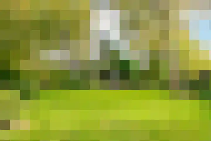 Vijfhuizerdijk 206 Vijfhuizen thumbnail 45