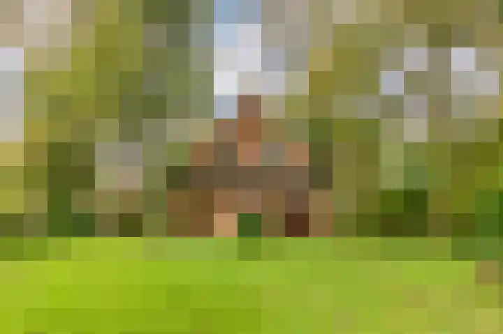 Vijfhuizerdijk 206 Vijfhuizen thumbnail 5