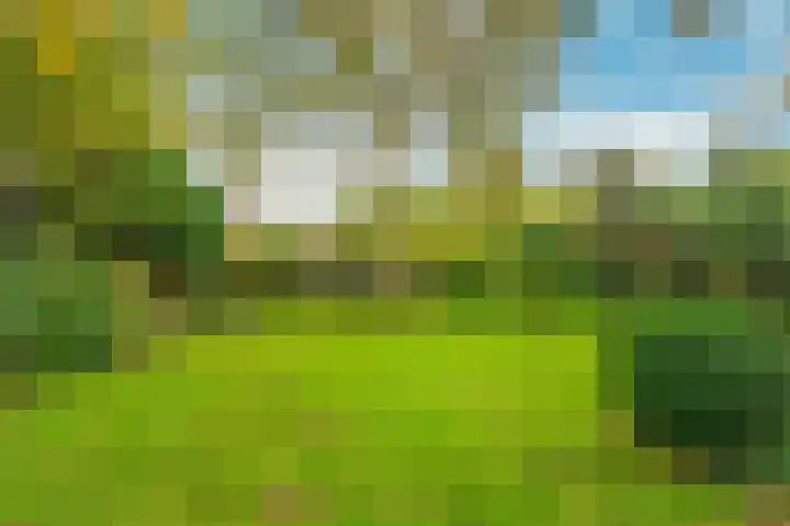 Vijfhuizerdijk 206 Vijfhuizen thumbnail 6