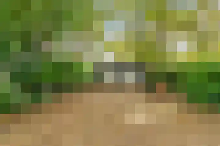 Vijfhuizerdijk 206 Vijfhuizen thumbnail 8