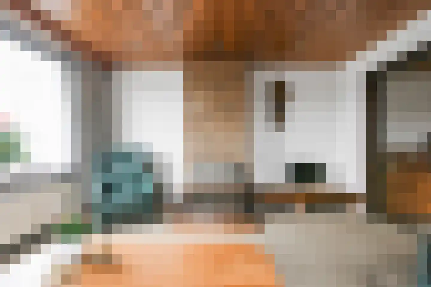 Vijfhuizerdijk 24 Vijfhuizen thumbnail 16