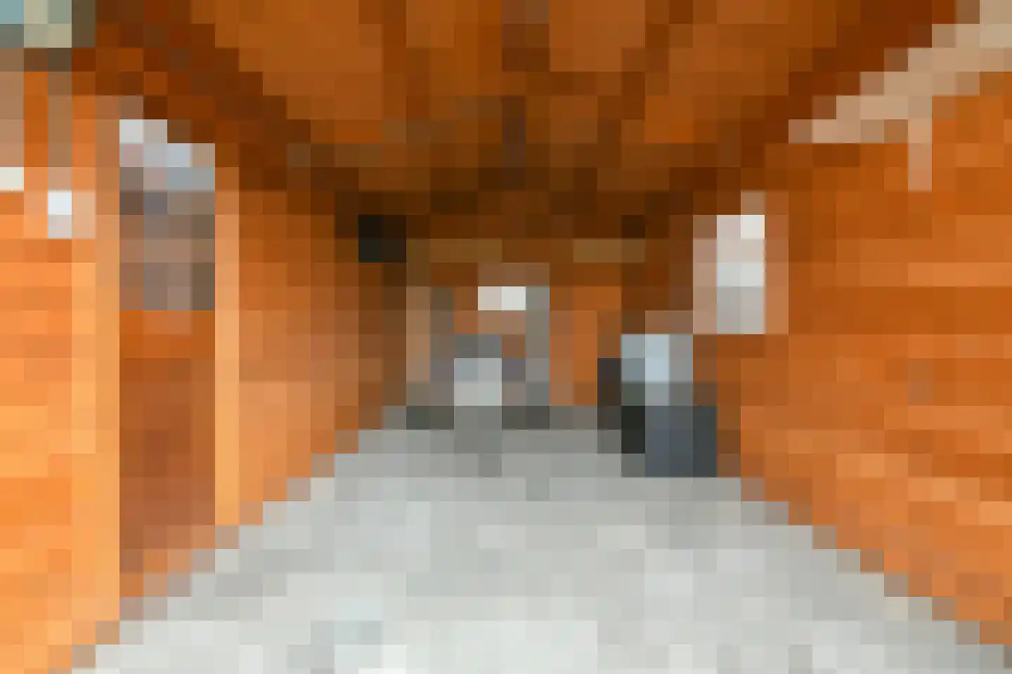 Vijfhuizerdijk 24 Vijfhuizen thumbnail 35