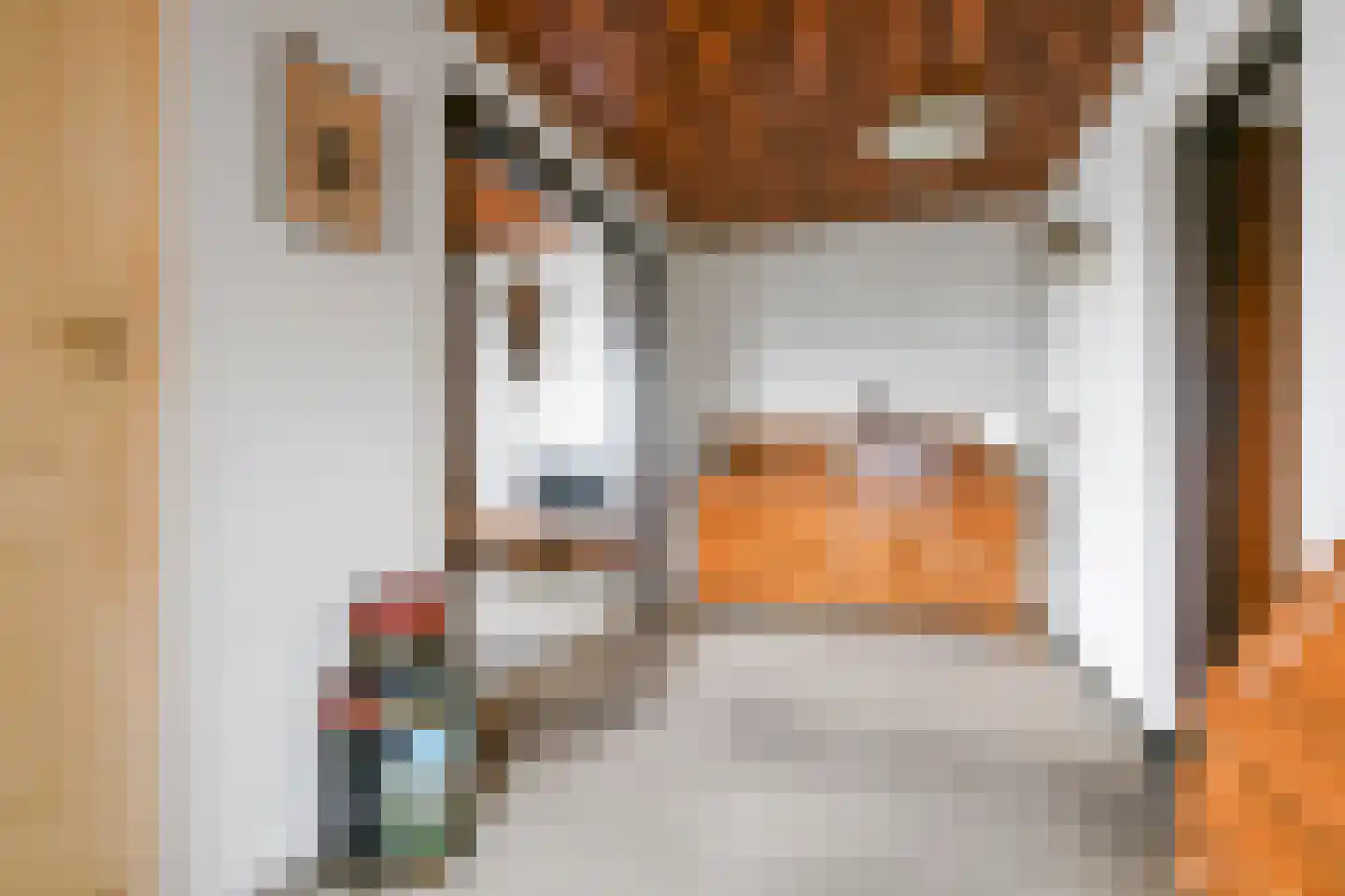 Vijfhuizerdijk 24 Vijfhuizen thumbnail 4