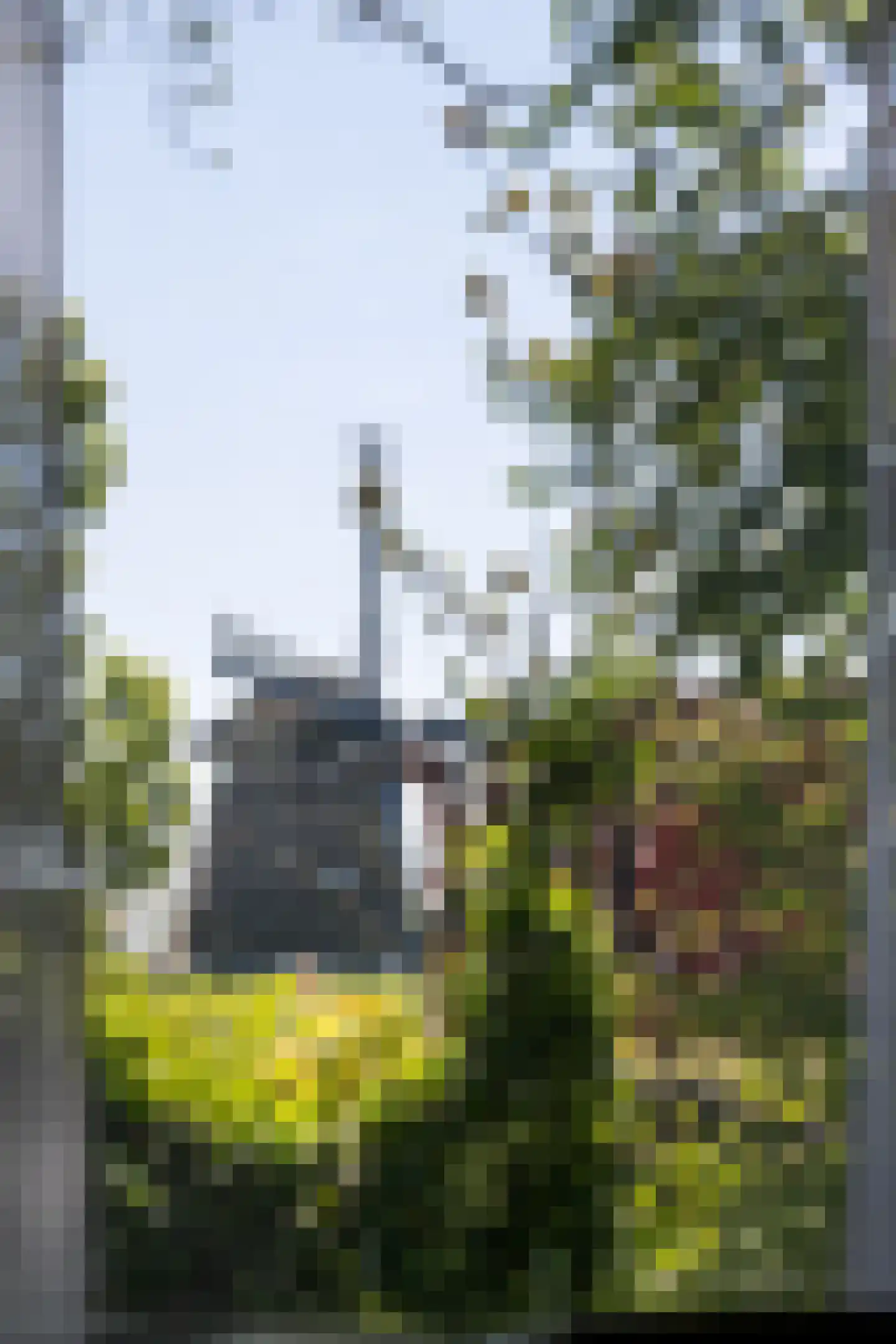 Vijfhuizerdijk 66 Vijfhuizen thumbnail 11