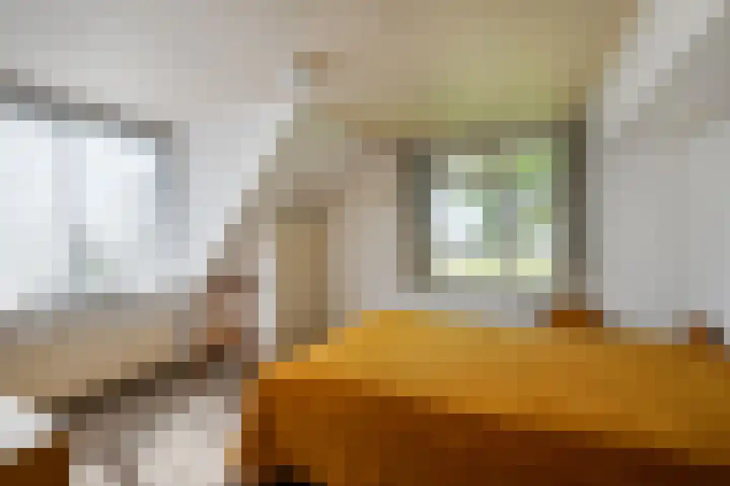 Vijfhuizerdijk 66 Vijfhuizen thumbnail 22