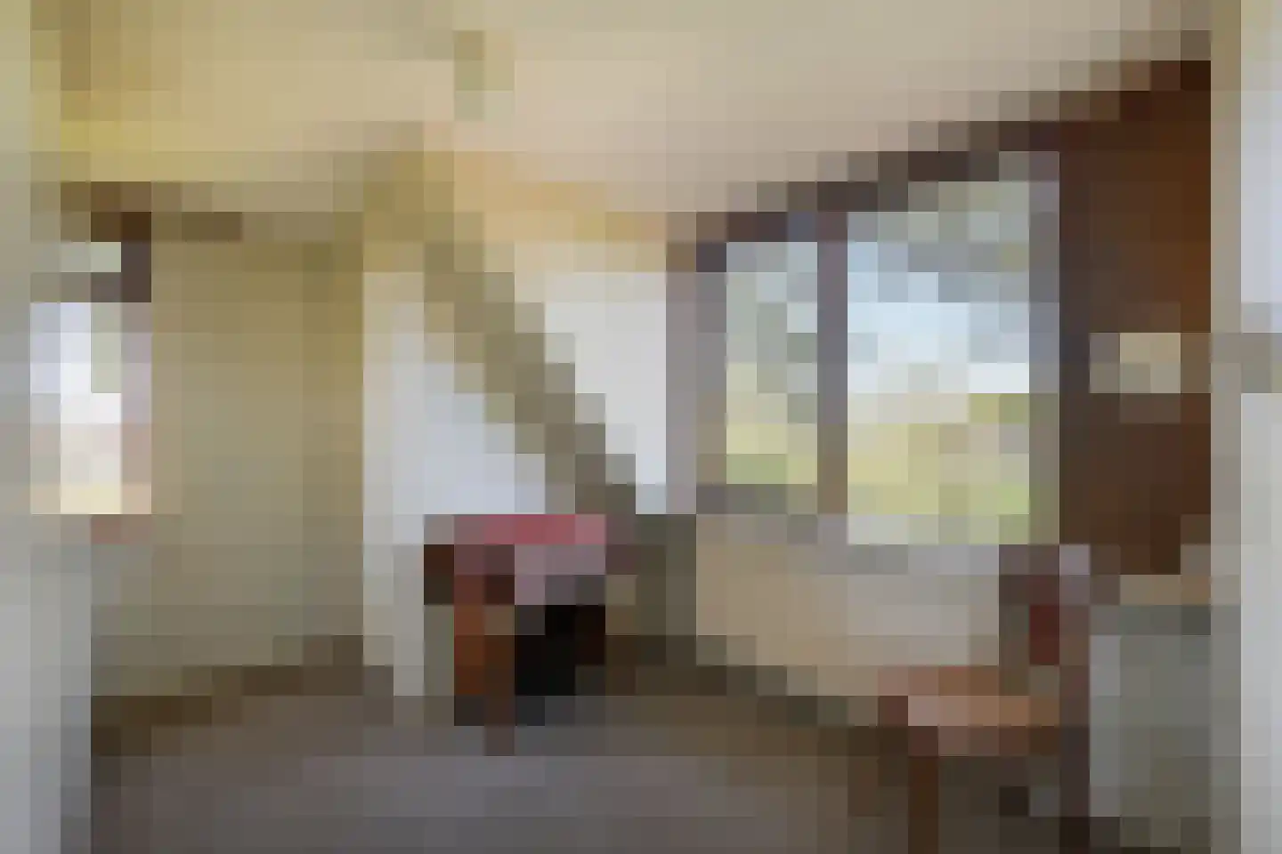 Vijfhuizerdijk 66 Vijfhuizen thumbnail 25