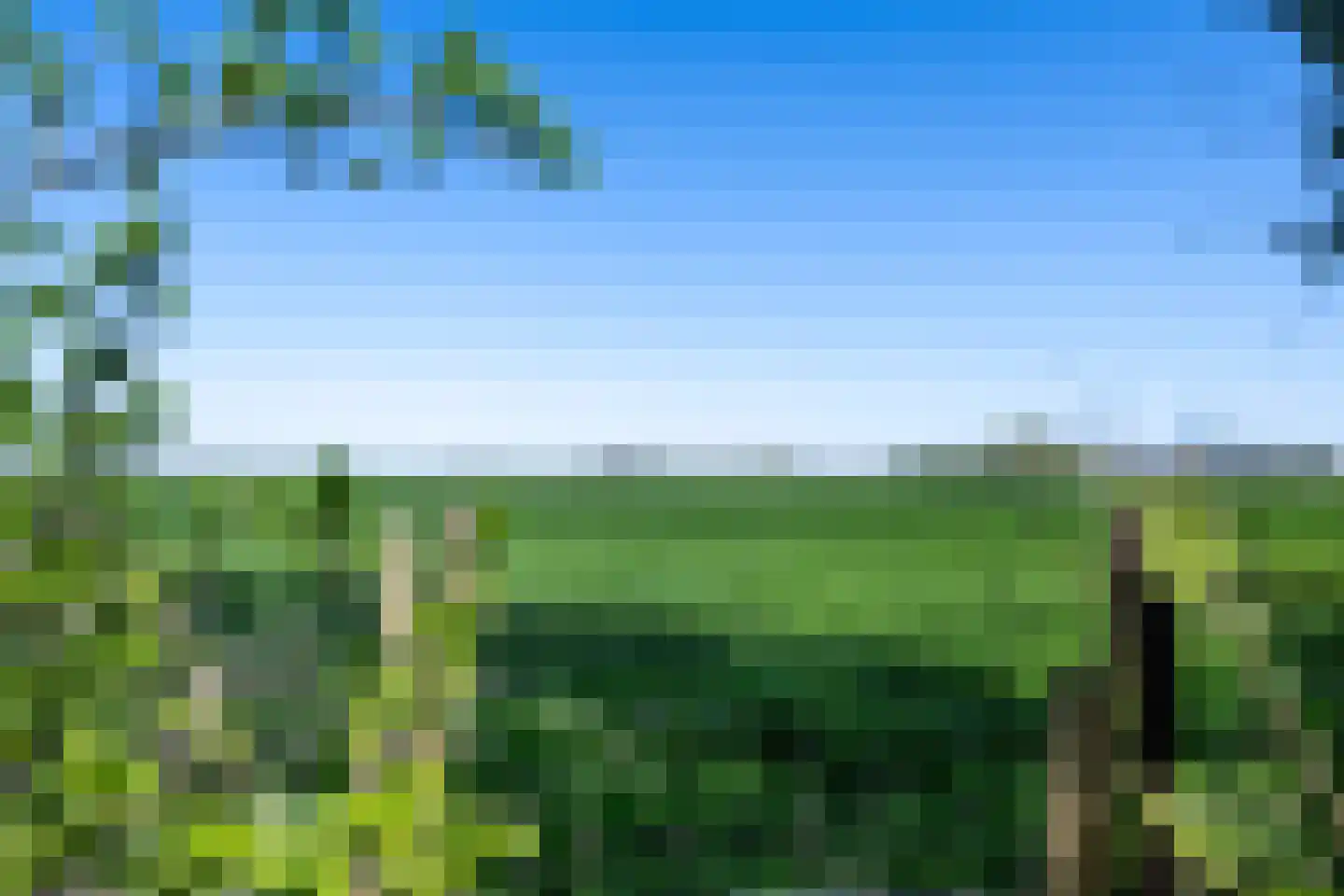Vijfhuizerdijk 66 Vijfhuizen thumbnail 34