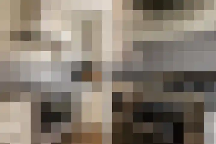 Vijfhuizerstraat 4 Haarlem thumbnail 10