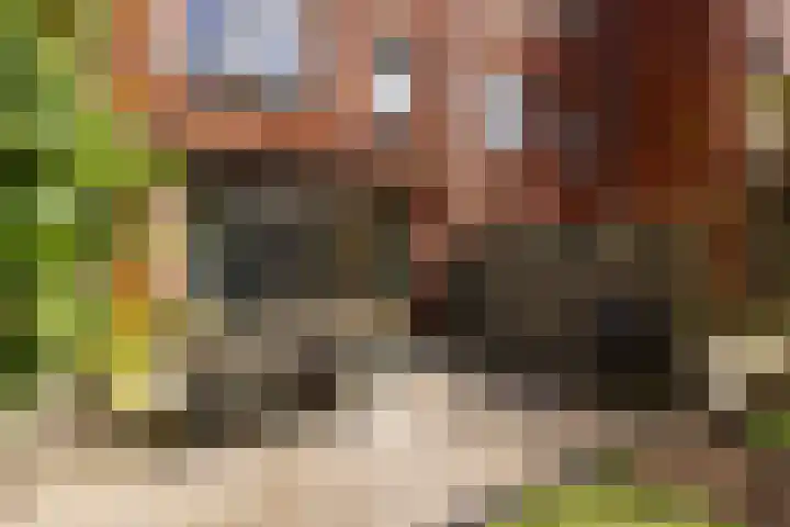 Vijfhuizerstraat 4 Haarlem thumbnail 12