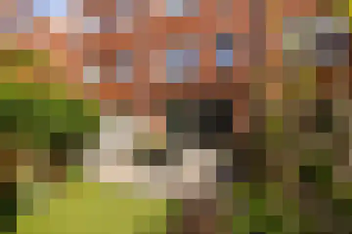Vijfhuizerstraat 4 Haarlem thumbnail 13