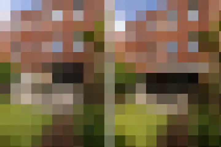 Vijfhuizerstraat 4 Haarlem thumbnail 14