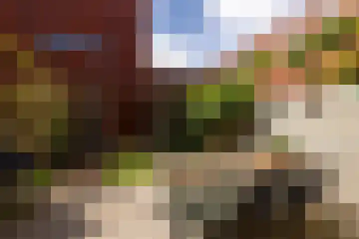 Vijfhuizerstraat 4 Haarlem thumbnail 15