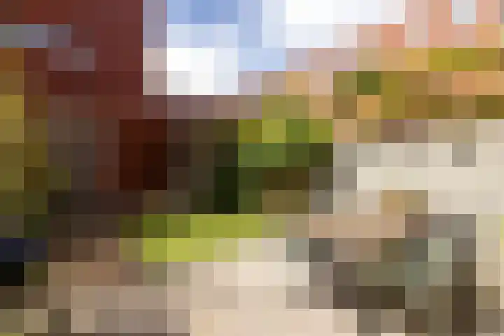 Vijfhuizerstraat 4 Haarlem thumbnail 17