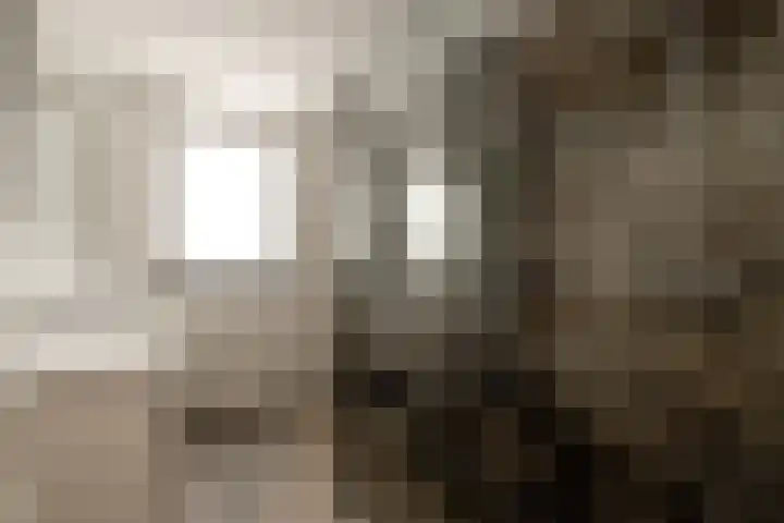 Vijfhuizerstraat 4 Haarlem thumbnail 26
