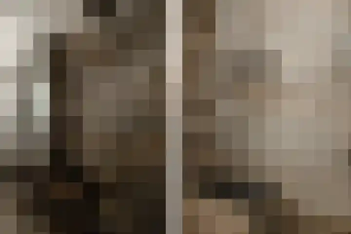 Vijfhuizerstraat 4 Haarlem thumbnail 27