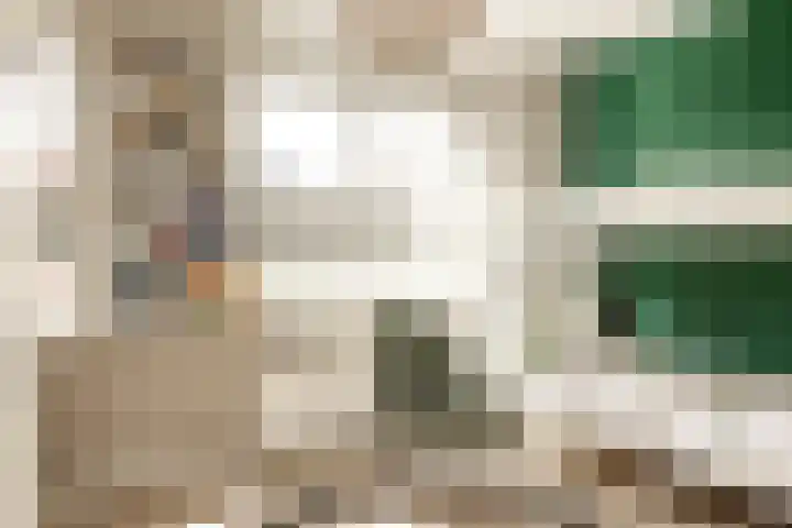 Vijfhuizerstraat 4 Haarlem thumbnail 31