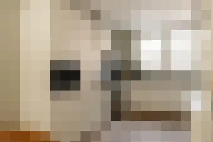 Vijfhuizerstraat 4 Haarlem thumbnail 9