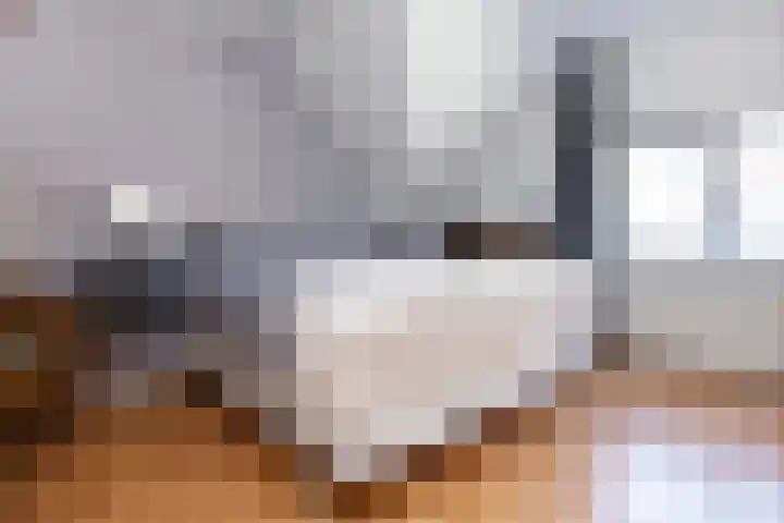Vijfhuizerstraat 7 Haarlem thumbnail 21