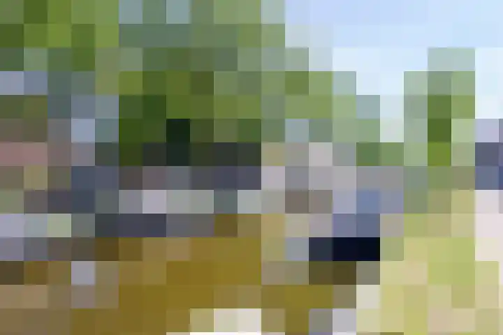 Vijfhuizerstraat 7 Haarlem thumbnail 32