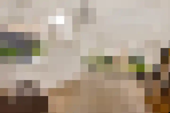 Vijfhuizerweg 911 Vijfhuizen thumbnail 11