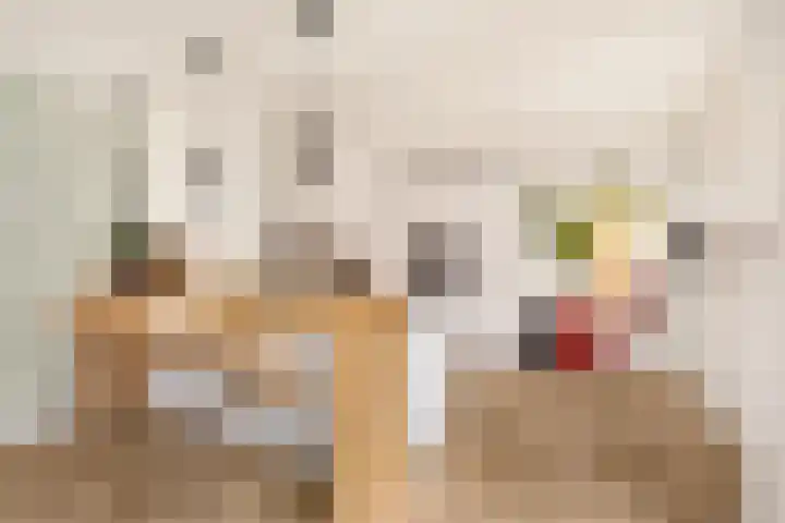 Vijfhuizerweg 911 Vijfhuizen thumbnail 12