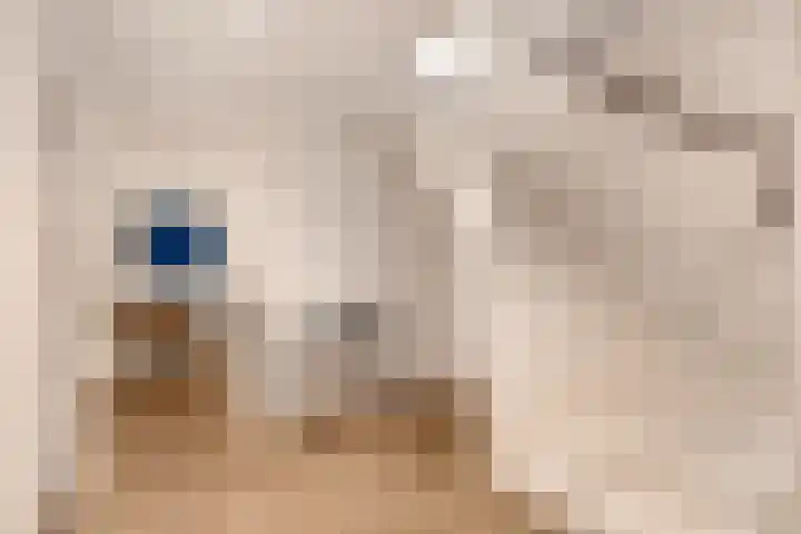 Vijfhuizerweg 911 Vijfhuizen thumbnail 14