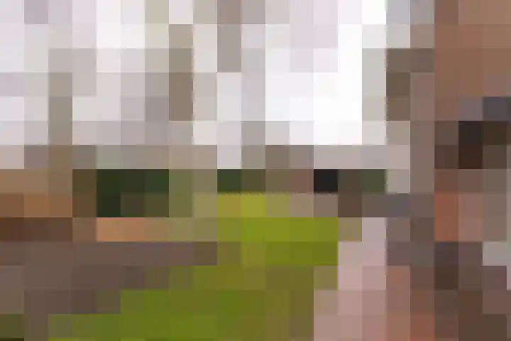 Vijfhuizerweg 911 Vijfhuizen thumbnail 21