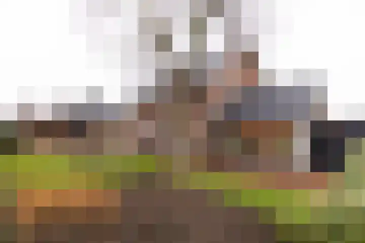 Vijfhuizerweg 911 Vijfhuizen thumbnail 23