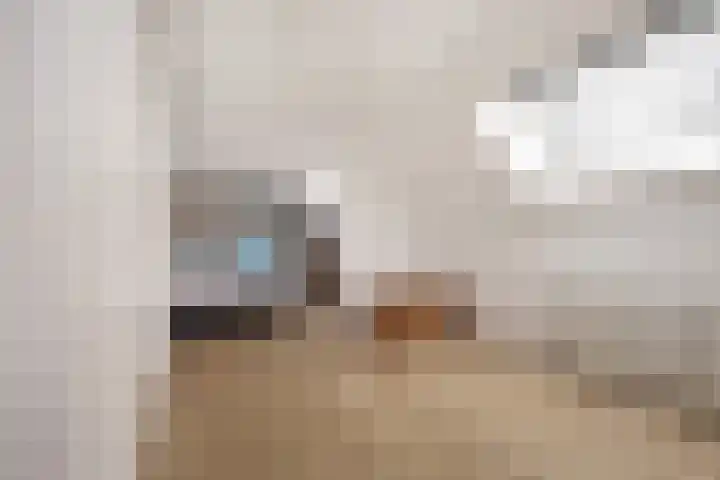 Vijfhuizerweg 911 Vijfhuizen thumbnail 24