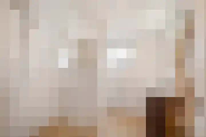 Vijfhuizerweg 911 Vijfhuizen thumbnail 29