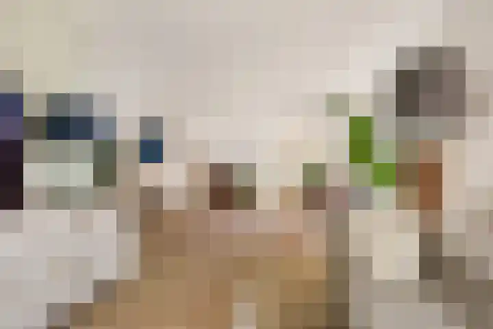 Vijfhuizerweg 911 Vijfhuizen thumbnail 7