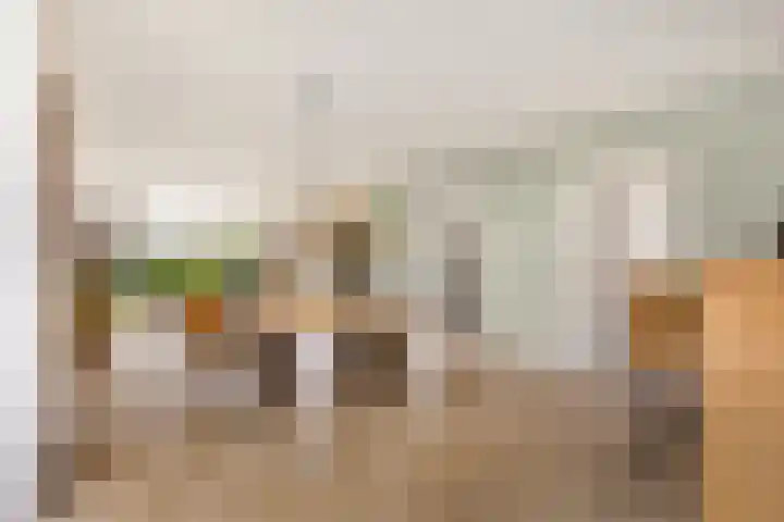 Vijfhuizerweg 911 Vijfhuizen thumbnail 8
